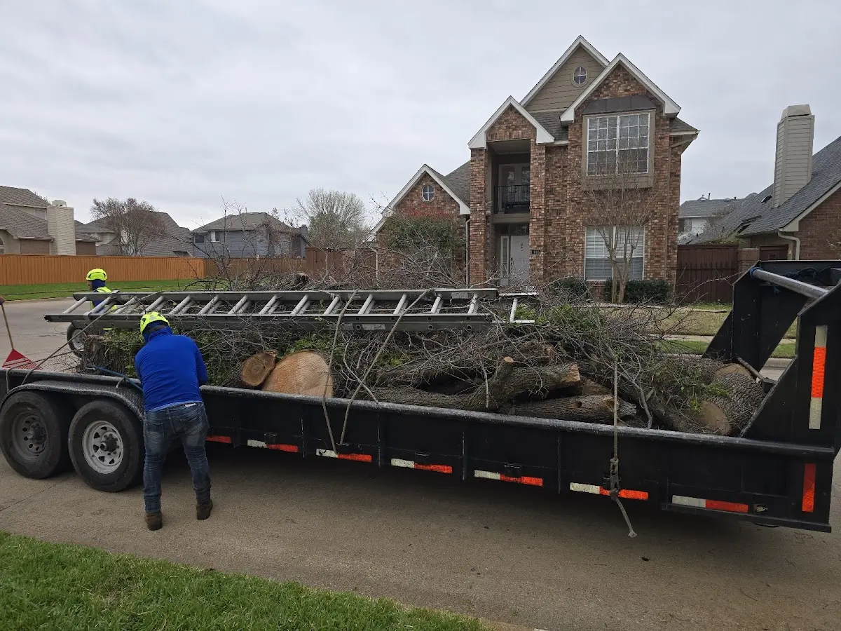Expert Tree Fertilization with proper safety equipment in Culpeper